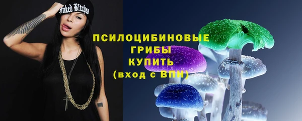 круглые Лагань