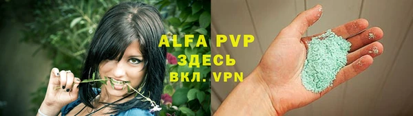 PSILOCYBIN Ладушкин
