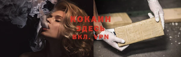 PSILOCYBIN Ладушкин