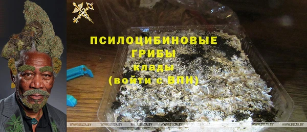 PSILOCYBIN Ладушкин