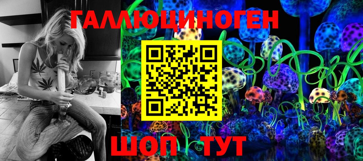 Сухой Лог  Псилоцибиновые грибы мухоморы  Вход с VPN 
