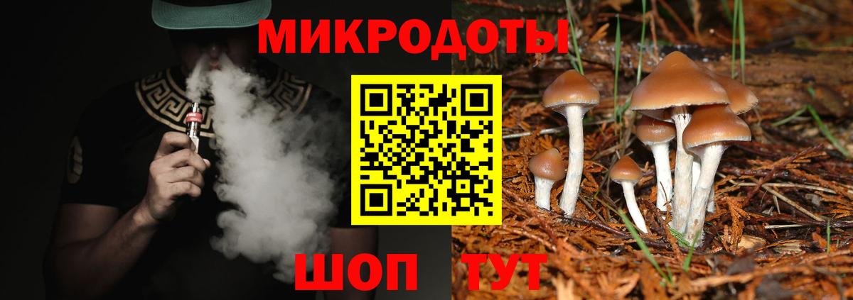 Псилоцибиновые грибы Psilocybe Сухой Лог